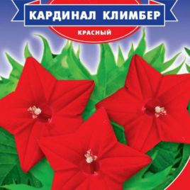 Квамоклит Кардинал Климбер