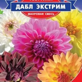 Георгина Дабл Экстрим