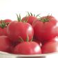 Томат Маністелла F1