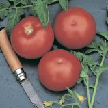 Томат Ольга F1