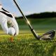 Трава газонная Гольфмастер (GOLFMASTER) 