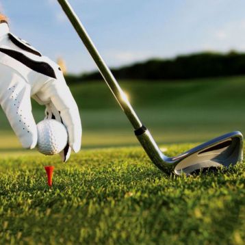 Трава газонная Гольфмастер (GOLFMASTER) 