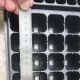 Кассета для рассады Голландский стандарт 105 ячеек (33х40х14) без поддона (Agreen)