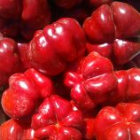 Перець Топепо Россо-Флумері F1 