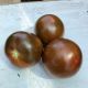 Джордано F1 семена томата индет. раннего 110 дн. окр. 160-180 гр. корич. (Spark Seeds) ОЖИДАЕТСЯ
