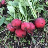 Редис Марвел F1