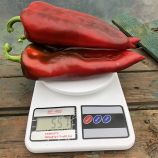 Перець Ліра F1