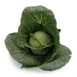 Капуста Болерома F1