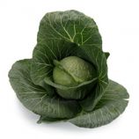 Капуста Болерома F1 