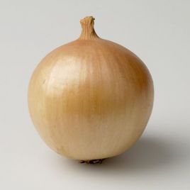 Цибуля Франциско