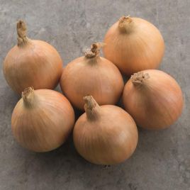 Лук Хайтек F1 