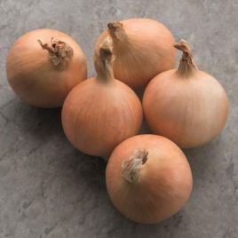 Лук Дритан F1 