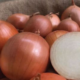 Лук ПХ 07713119 F1 (PX 07713119 F1) 