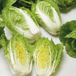 Капуста Меркурій F1 