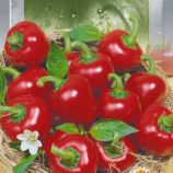 Перец Каперино 