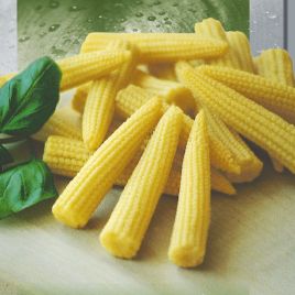 Кукуруза Миникорн 