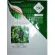 ZKI-104 F1 семена огурца партенокарп. (Lark Seeds)