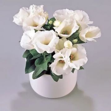Эустома Кармен F1 айвори (ivory) 