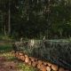 Тент камуфляж водонепроницаемый CAMOforest 90 гр/м² 