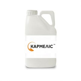 Фунгицид Кармелис 