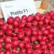 Редис Преліто F1