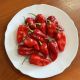 9020 F1 семена перца горького тип Хабанеро раннего 60 дн. 30 гр. красн. (Spark Seeds)