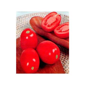 Перфект F1 семена томата дет. (May Seeds)