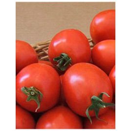 Лидия F1 семена томата дет. (May Seeds)