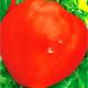 Томат Волове Серце червоне 