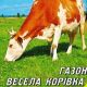 Травосмесь Веселая коровка 2 