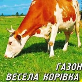 Травосмесь Веселая коровка 2 