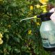 Опрыскиватель ручной AQUA SPRAY CLEAR 1,5 л, AS0150CL (Bradas)