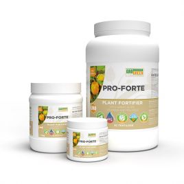 Про-Форте Гель (Gel Pro-Forte) биостимулятор роста (GroGreen)