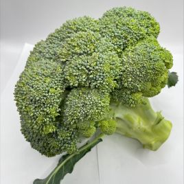 Брокколи Корос F1 