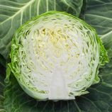 Капуста Адема F1 