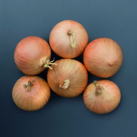 Лук Бриджер F1