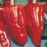 Перец Дольче Итальяно 