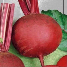 Детройт 2 семена свеклы столовой (Hortus)