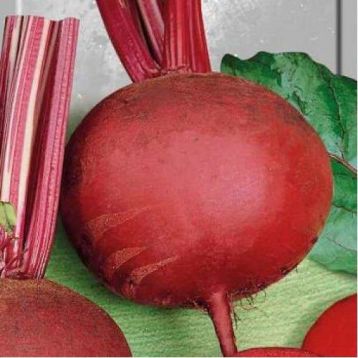 Детройт 2 семена свеклы столовой (Euroseed)
