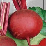 Детройт 2 семена свеклы столовой (Euroseed)