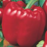 Перец Йоло Вондер Биг 