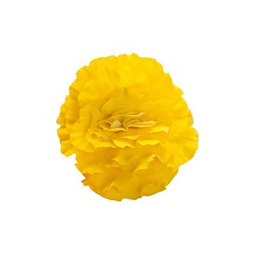 Бегония Нонстоп F1 yellow red black 
