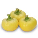 Перец Бикиш F1