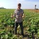Винес F1 семена тыквы мускатной ранней 85-100 дн. 0,6-1,0 кг (Sakata)