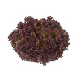 Салат Самантайн (Samantine) 