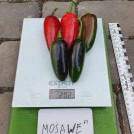 Перець Моджаве F1