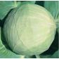 Белоснежка семена капусты б/к поздней (Euroseed)