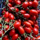Самори F1 семена томата индет. кокт. с носиком раннего 65-70 дн. овал. 40-50 гр. красн. (Esasem)