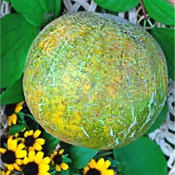 Дыня Хани Дью