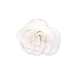 Бегония Нонстоп F1 white 